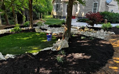 Landscaped yard with mulch